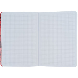 Книга записная Axent Fish 8700-1-A, А5, 80 листов, клетка, красно-зеленая