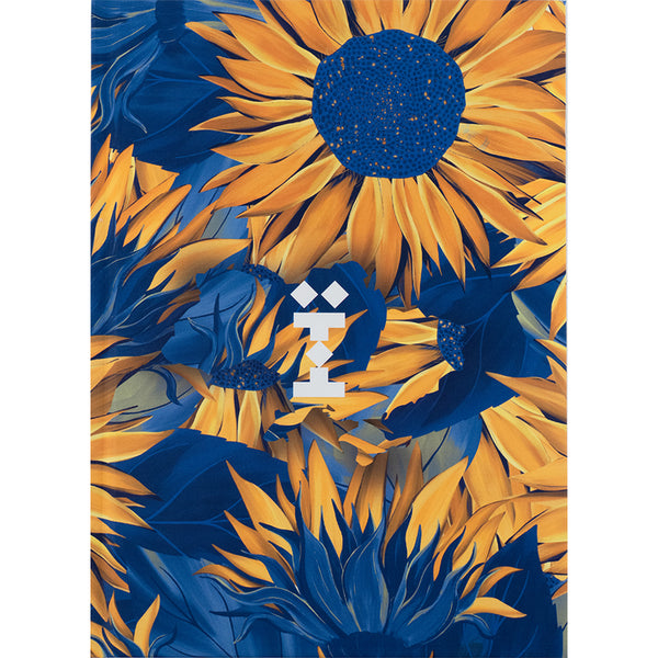 Книга записна Axent UA Ї 8455-3-A, А5, 96 аркушів, клітинка, тверда обкладинка