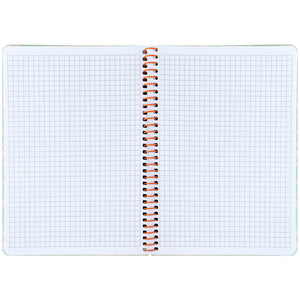 Блокнот на спiралi Axent 8462-1-A, А5, 80 аркушів, клітинка, пластикова обкладинка, салатовий