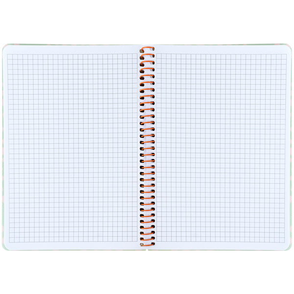 Блокнот на спiралi Axent 8462-1-A, А5, 80 аркушів, клітинка, пластикова обкладинка, салатовий