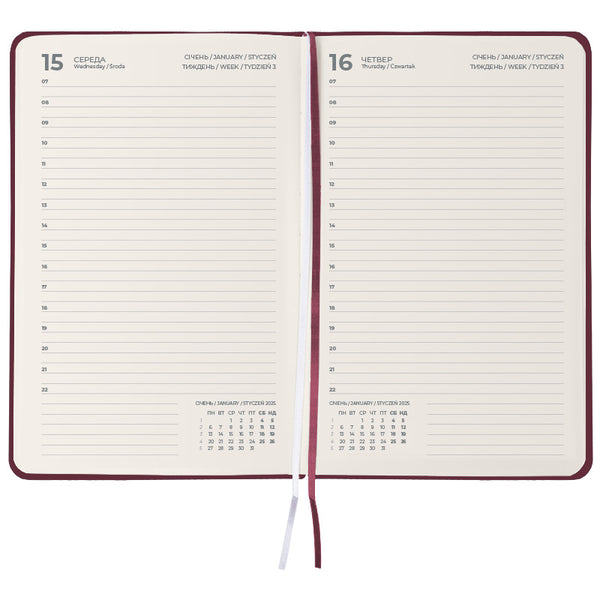 Щоденник 2025 Axent Partner Strong 8819-25-46-A, 145x210 мм, винний