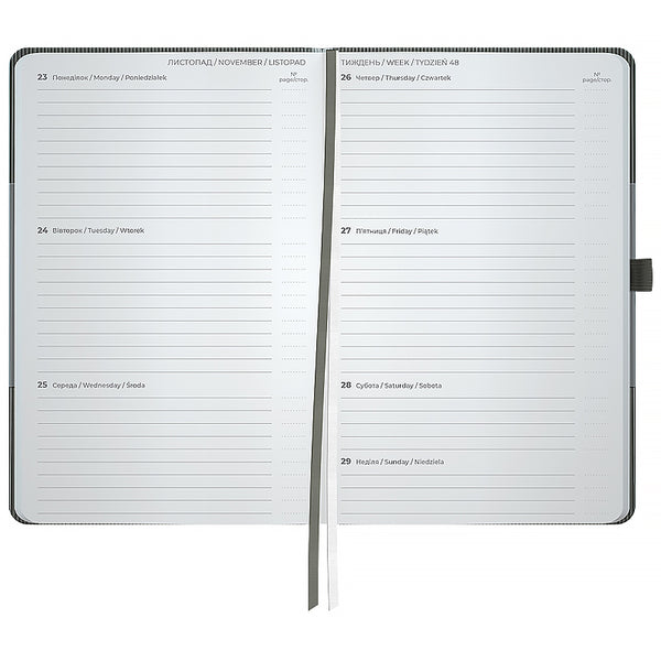 Щотижневик 2026 Axent Partner Lines 8515-26-03-A, 125*195, сірий