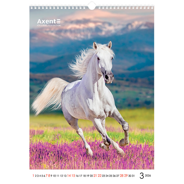 Календарь настенный 2026 Axent Horses 8804-26-3-A, А3