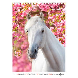 Календарь настенный 2026 Axent Horses 8804-26-3-A, А3