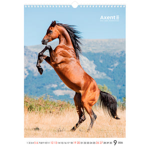 Календарь настенный 2026 Axent Horses 8804-26-3-A, А3