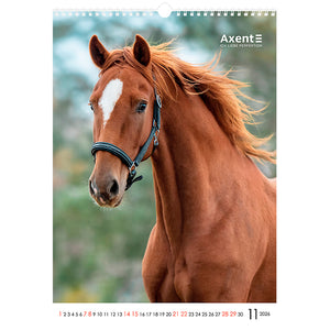 Календарь настенный 2026 Axent Horses 8804-26-3-A, А3