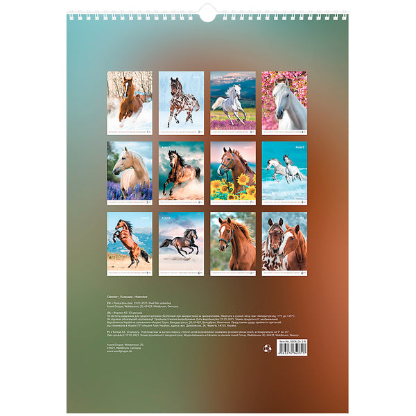 Календарь настенный 2026 Axent Horses 8804-26-3-A, А3