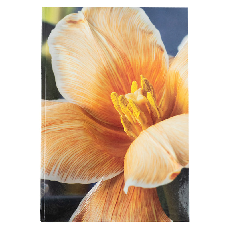 Книга записная Axent Flora 8423-27-A, А4, 192 листа, клетка, желтая