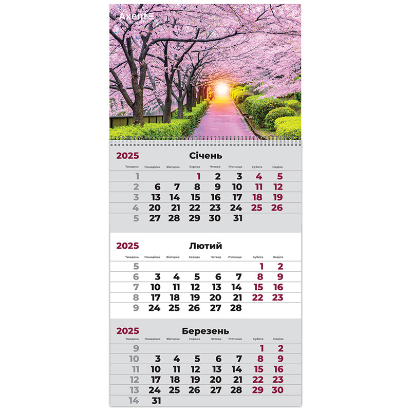 Календарь настенный квартальный 2025 Axent Gardens 2 8801-25-5-A, 1 пружина