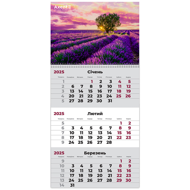 Календарь настенный квартальный 2025 Axent Provence 1 8801-25-7-A, 1 пружина