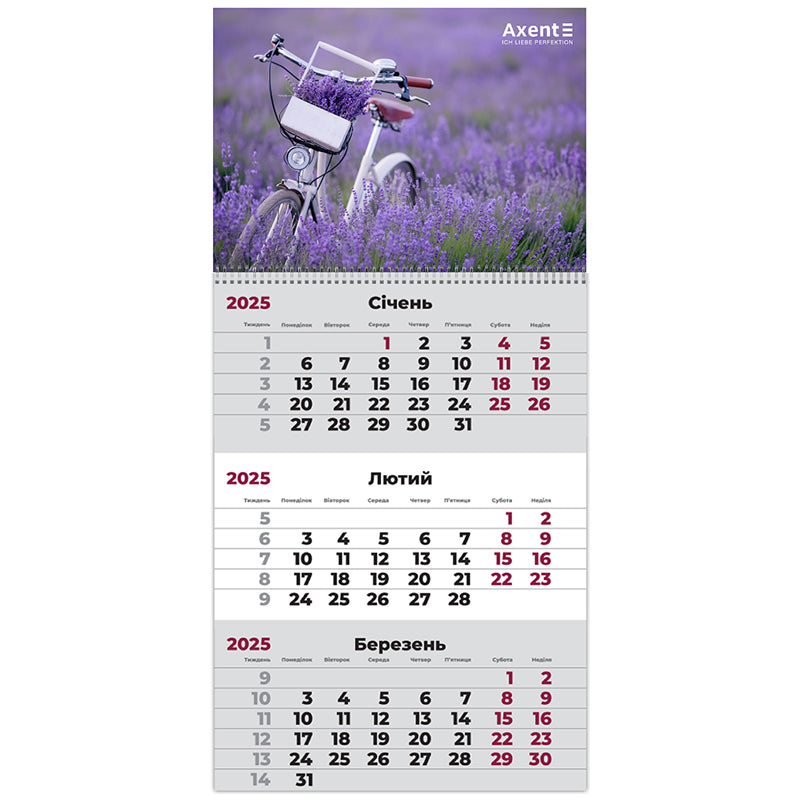 Календарь настенный квартальный 2025 Axent Provence 2 8801-25-8-A, 1 пружина