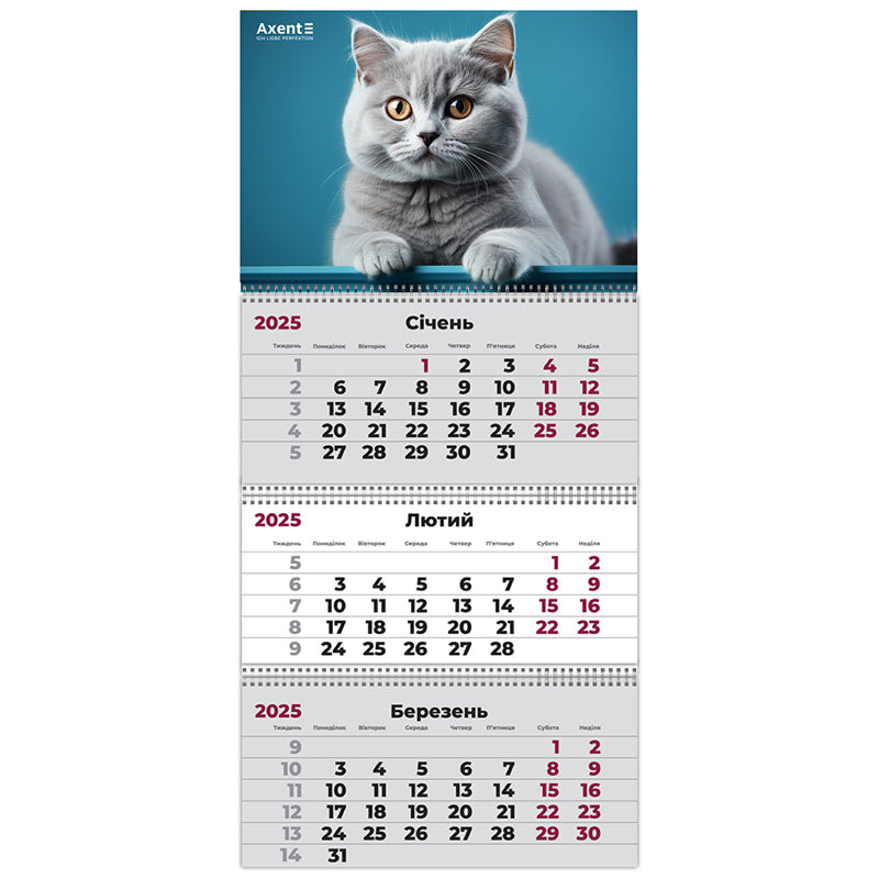 Календарь настенный квартальный 2025 Axent Cats 1 8803-25-13-A, 3 пружины