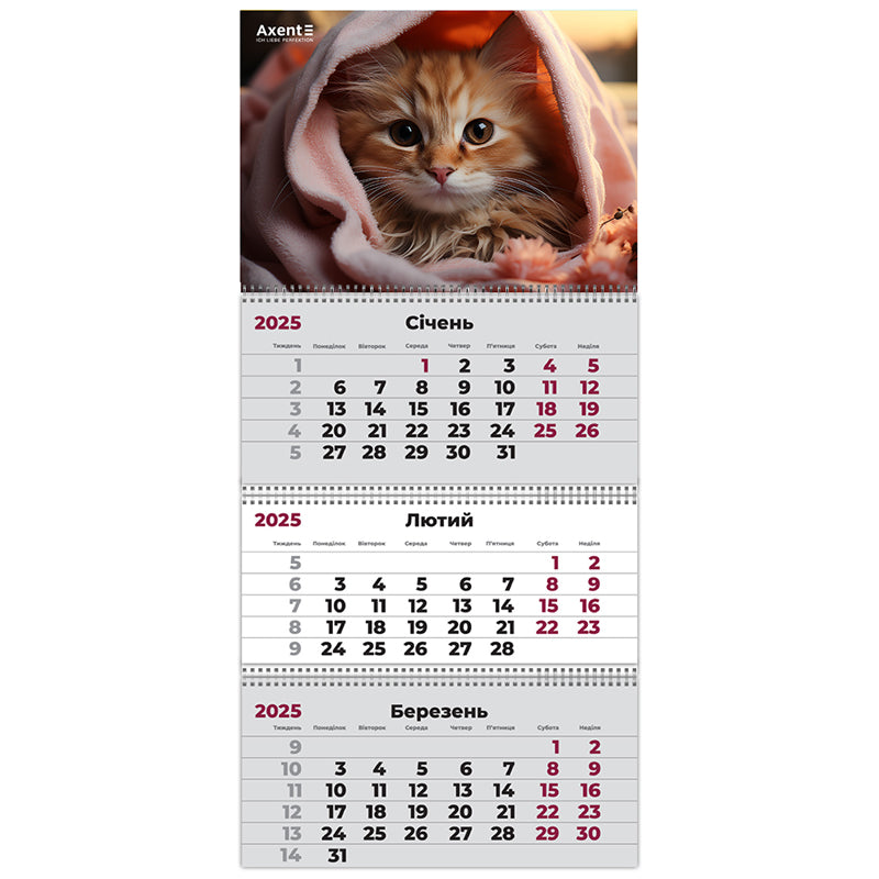 Календарь настенный квартальный 2025 Axent Cats 2 8803-25-14-A, 3 пружины