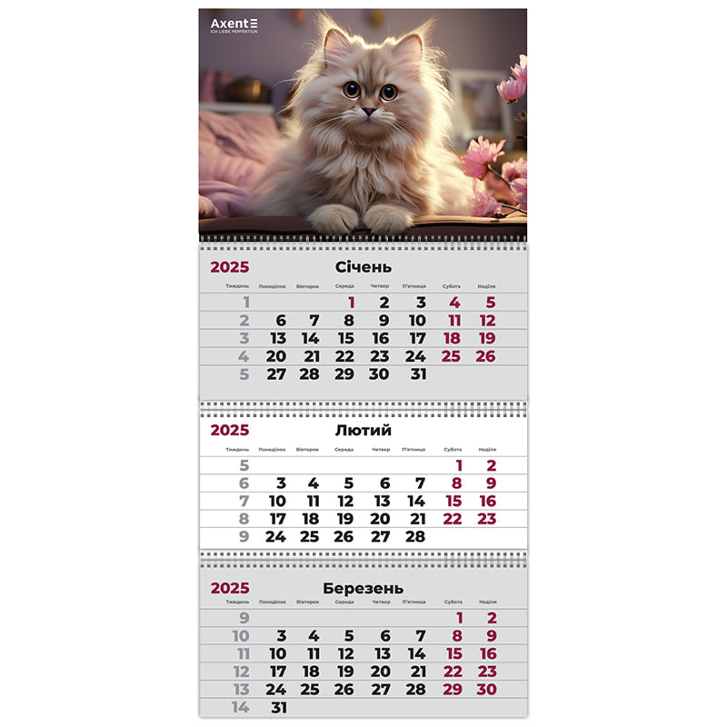 Календарь настенный квартальный 2025 Axent Cats 3 8803-25-15-A, 3 пружины