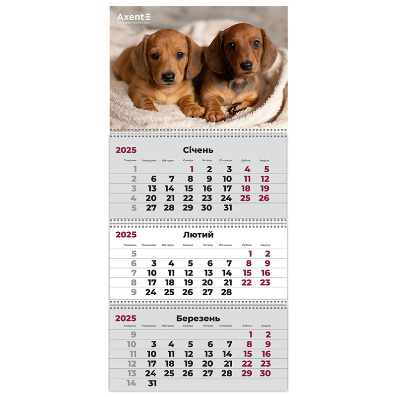 Календарь настенный квартальный 2025 Axent Dogs 1 8803-25-16-A, 3 пружины