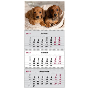 Календарь настенный квартальный 2025 Axent Dogs 1 8803-25-16-A, 3 пружины