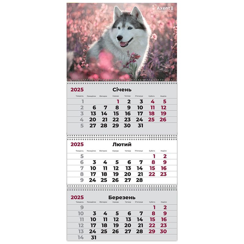 Календарь настенный квартальный 2025 Axent Dogs 2 8803-25-17-A, 3 пружины