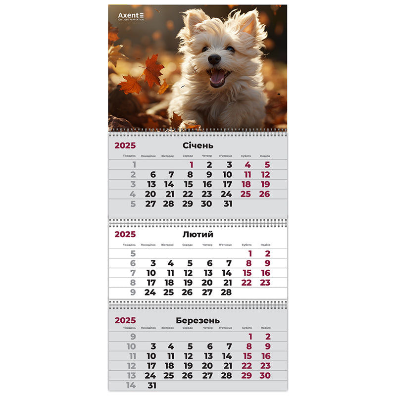 Календарь настенный квартальный 2025 Axent Dogs 3 8803-25-18-A, 3 пружины