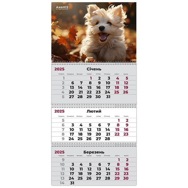 Календарь настенный квартальный 2025 Axent Dogs 3 8803-25-18-A, 3 пружины