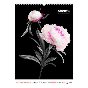 Календарь настенный 2025 Axent One color art 8804-25-2-A, А3