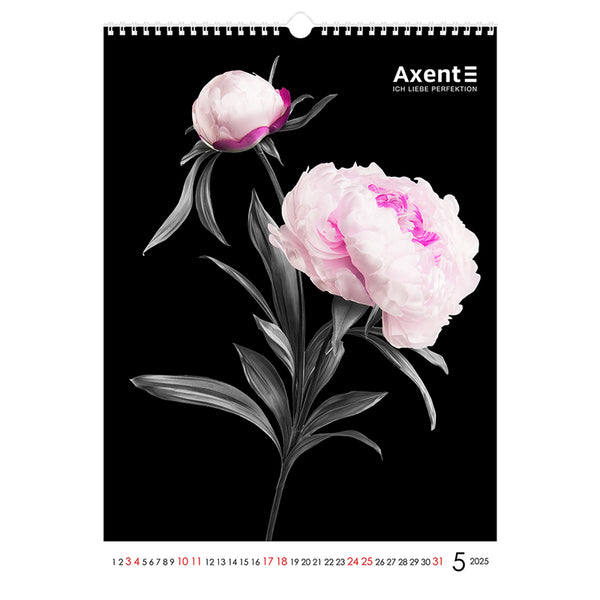 Календарь настенный 2025 Axent One color art 8804-25-2-A, А3