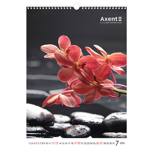 Календарь настенный 2025 Axent One color art 8804-25-2-A, А3
