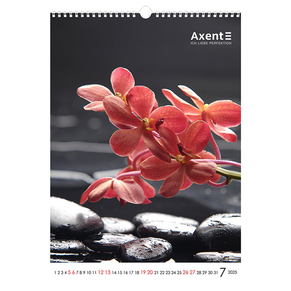 Календарь настенный 2025 Axent One color art 8804-25-2-A, А3
