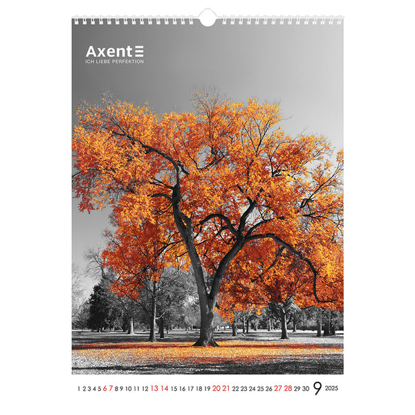 Календарь настенный 2025 Axent One color art 8804-25-2-A, А3