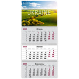 Календарь настенный квартальный 2025 Axent UA 3 8803-25-21-A, 3 пружины