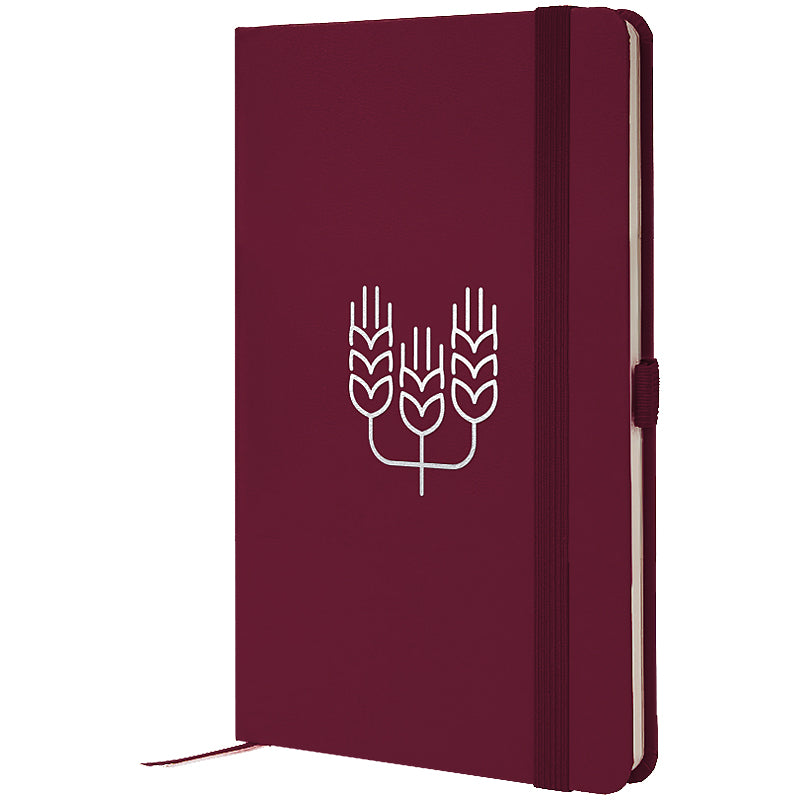 Книга записная Axent Partner Колоски 8201-46-8-A, 125x195 мм, 96 листов, клетка, винная
