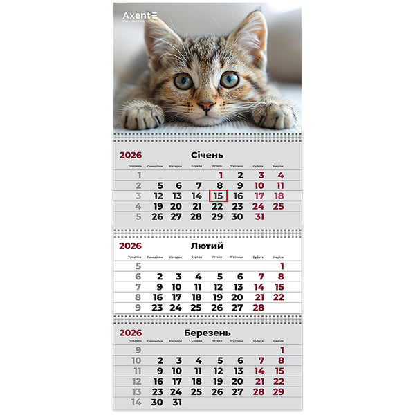 Календарь настенный квартальный 2026 Axent Cats 1 8803-26-13-A, 3 пружины