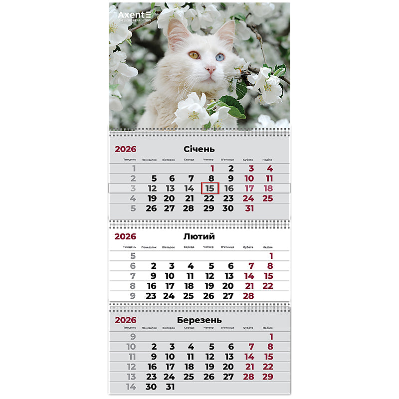 Календарь настенный квартальный 2026 Axent Cats 3 8803-26-15-A, 3 пружины