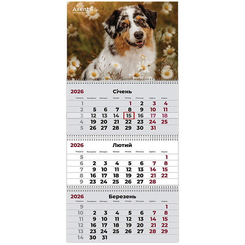 Календарь настенный квартальный 2026 Axent Dogs 1 8803-26-16-A, 3 пружины