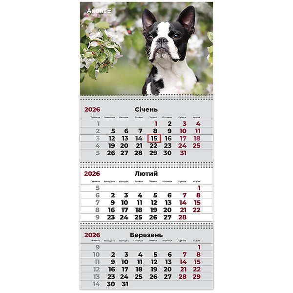 Календарь настенный квартальный 2026 Axent Dogs 2 8803-26-17-A, 3 пружины