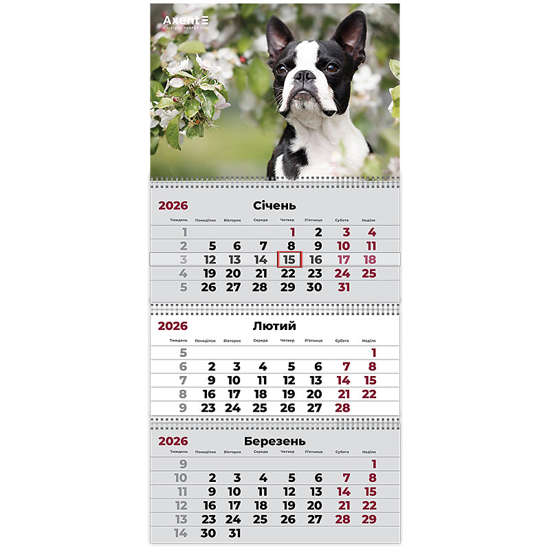 Календарь настенный квартальный 2026 Axent Dogs 2 8803-26-17-A, 3 пружины