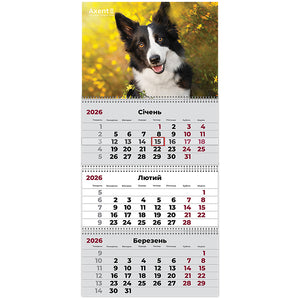 Календарь настенный квартальный 2026 Axent Dogs 3 8803-26-18-A, 3 пружины