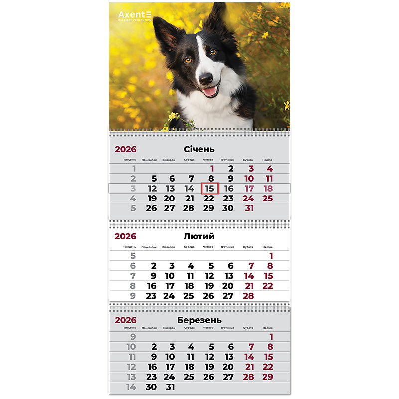 Календарь настенный квартальный 2026 Axent Dogs 3 8803-26-18-A, 3 пружины