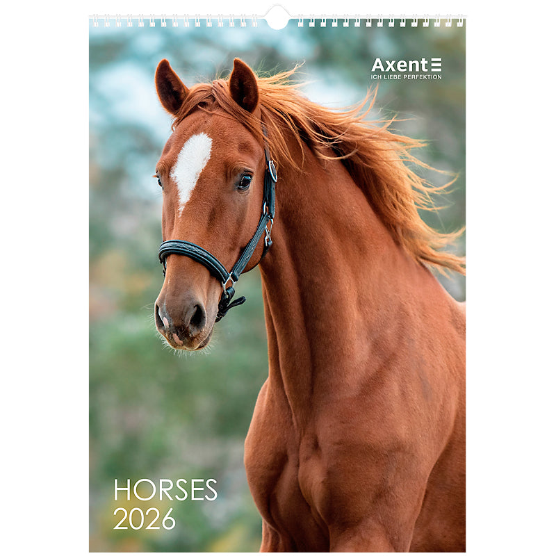 Календарь настенный 2026 Axent Horses 8804-26-3-A, А3