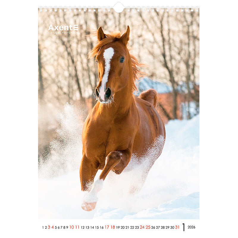 Календарь настенный 2026 Axent Horses 8804-26-3-A, А3