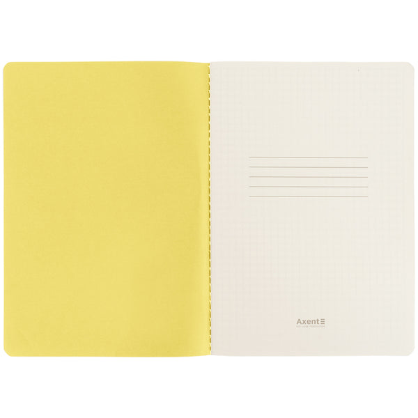 Книга записная Axent Turnowsky Secret Garden 8710-1-A-TR, А5, 60 листов, клетка