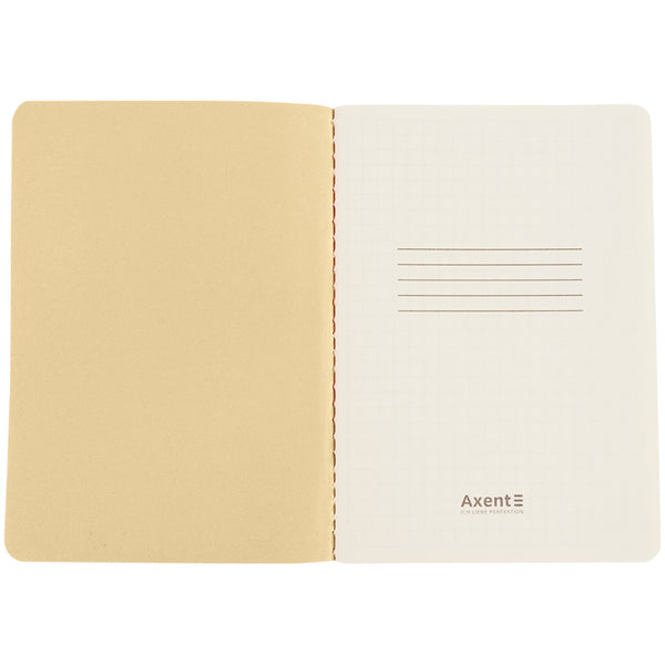 Книга записная Axent Turnowsky Secret Garden 8711-1-A-TR, А6, 60 листов, клетка