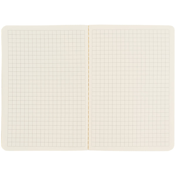 Книга записная Axent Turnowsky Morning Dew 8711-6-A-TR, А6, 60 листов, клетка