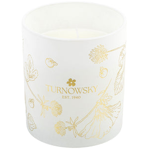 Ароматическая свеча с ароматом яблока Axent Turnowsky Bijoux 7249-04-A-TR, 185 г