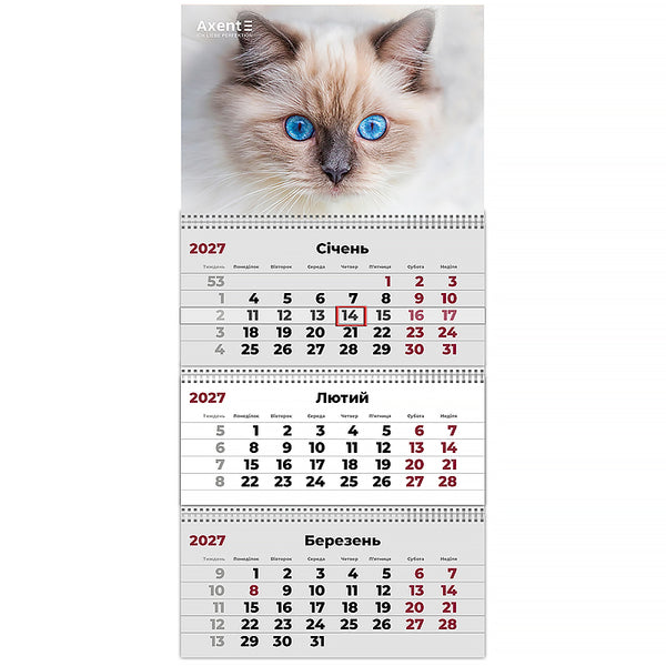 Календарь настенный квартальный 2027 Axent Cats 2 8803-27-8-A, 3 пружины