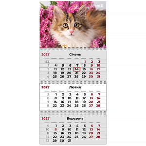 Календарь настенный квартальный 2027 Axent Cats 3 8803-27-9-A, 3 пружины