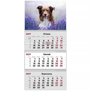 Календарь настенный квартальный 2027 Axent Dogs 1 8803-27-10-A, 3 пружины