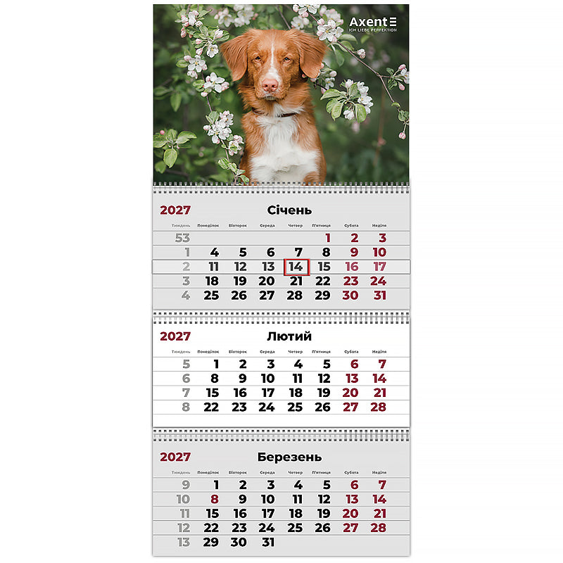 Календарь настенный квартальный 2027 Axent Dogs 2 8803-27-11-A, 3 пружины