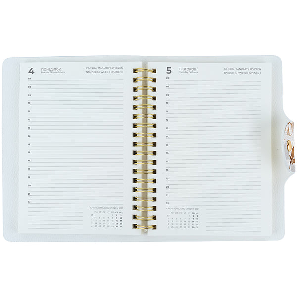 Щоденник 2027 Axent Partner 8838-27-2-A-TR, 145*210, TR, Silky smooth