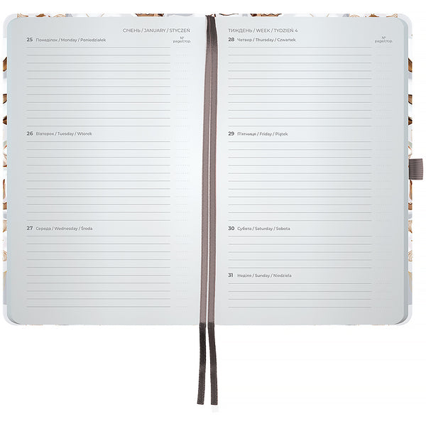 Щотижневик 2027 Axent Partner Silky Smooth 8524-27-2-A-TR, 125*195