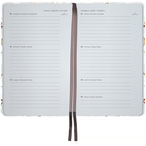 Еженедельник 2027 Axent Pocket Silky Smooth 8525-27-2-A-TR, 90*150